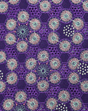 CTV-110 Cotton Voile Lace